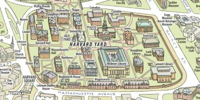 Zemljevid Harvard university